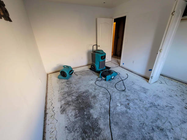 Local water damage restoration in West Glendive, MT