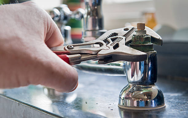 Best Professional water damage repair  in West Glendive, MT