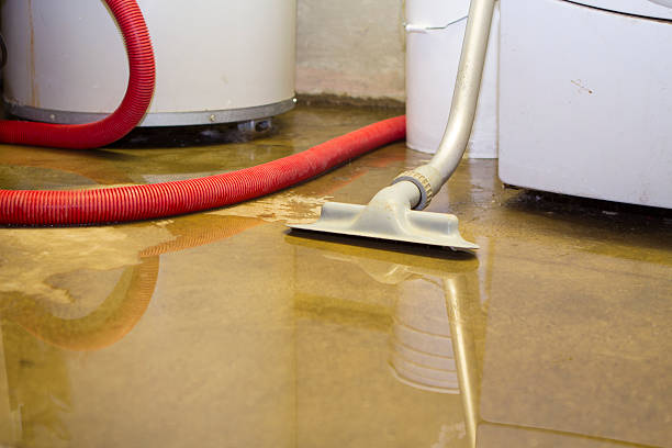  West Glendive, MT Water damage restoration Pros