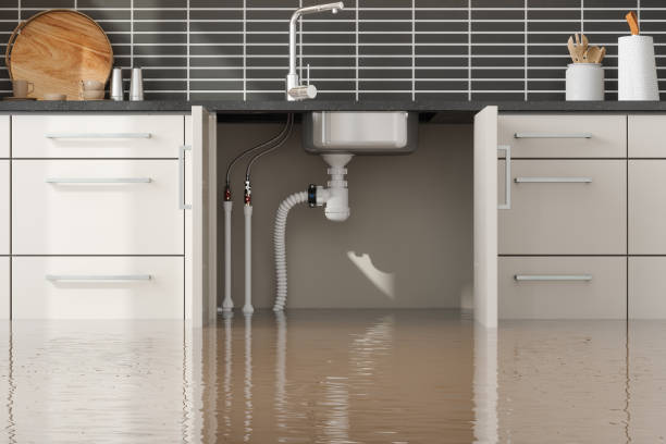 Best Local water damage restoration  in West Glendive, MT
