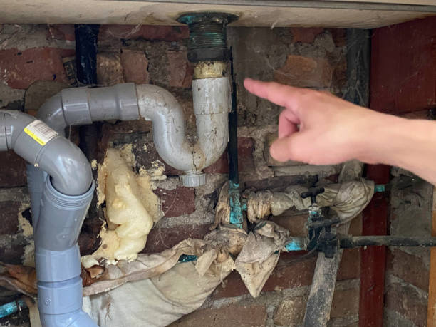 Trusted West Glendive, MT Water damage restoration Experts