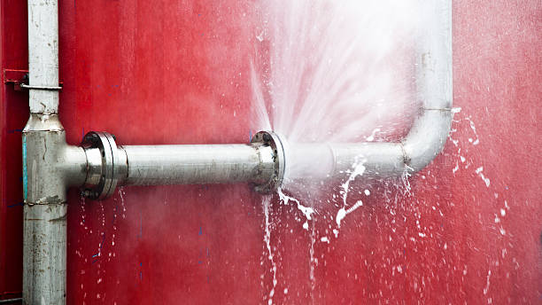 Best Ceiling water damage repair  in West Glendive, MT